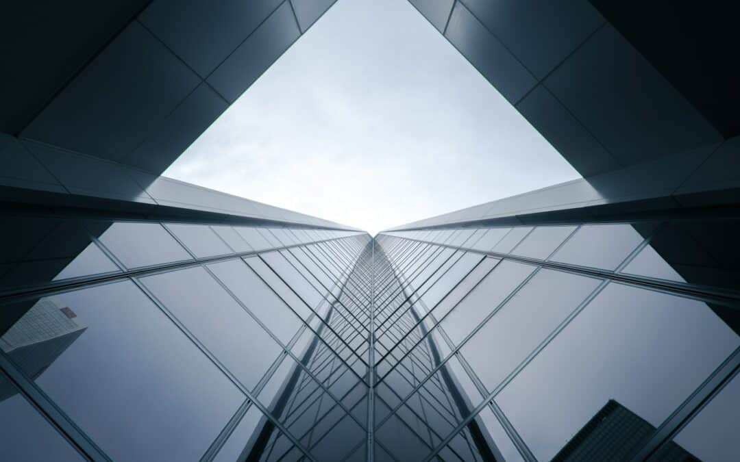 Why purchase a company? And why purchase a company rather than starting from scratch?